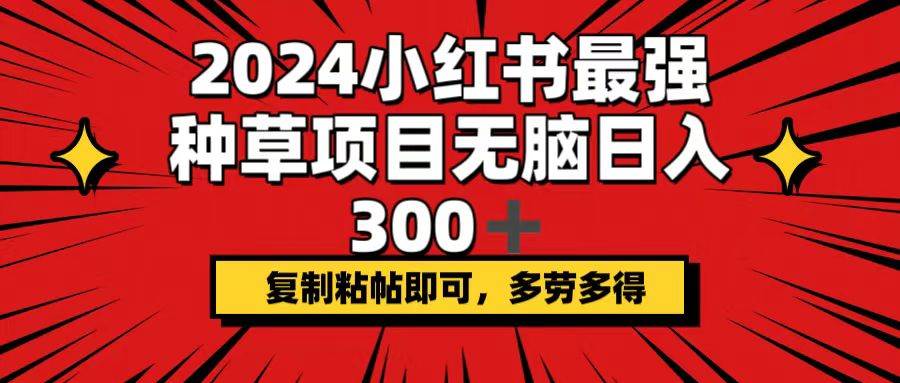 2024小红书最强种草项目，无脑日入300+，复制粘帖即可，多劳多得 - 维兴科技-维兴科技
