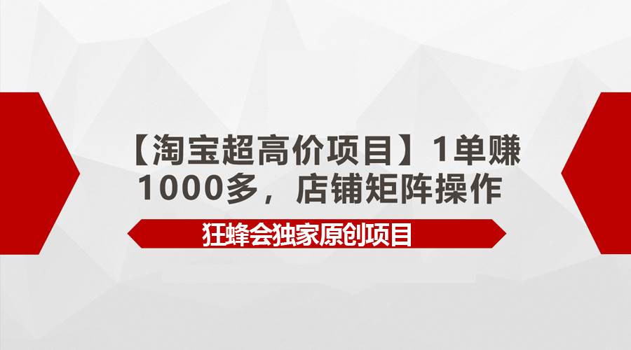 【淘宝超高价项目】1单赚1000多，店铺矩阵操作 - 维兴科技-维兴科技