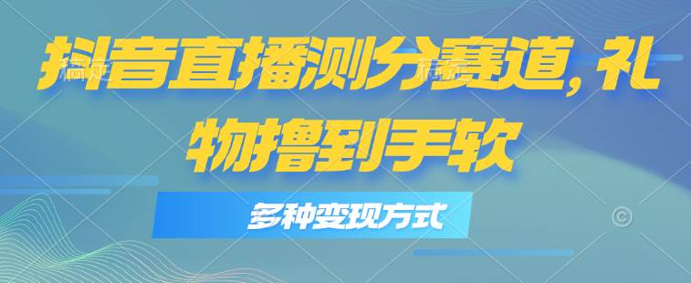 抖音直播测分赛道，多种变现方式，轻松日入1000+ - 维兴科技-维兴科技