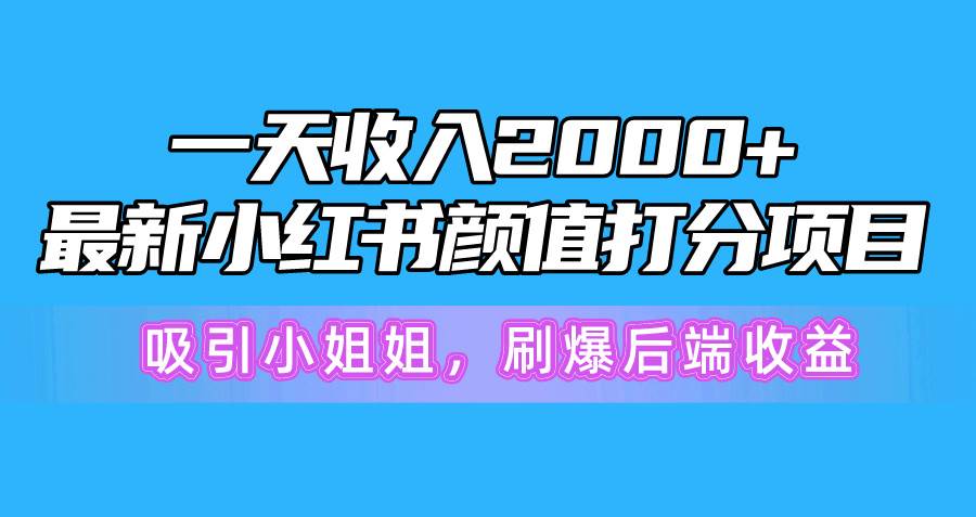 一天收入2000+，最新小红书颜值打分项目，吸引小姐姐，刷爆后端收益 - 维兴科技-维兴科技