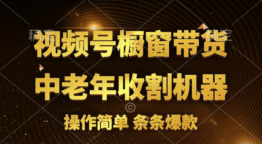 [你的孩子成功取得高位]视频号最火爆赛道，橱窗带货，流量分成计划，条… - 维兴科技-维兴科技
