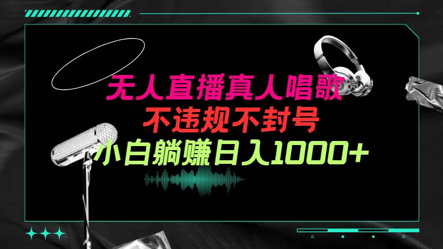 抖音24小时无人直播音乐，不违规，不封号纯撸音浪，小白实操当天日入1000+ - 维兴科技-维兴科技