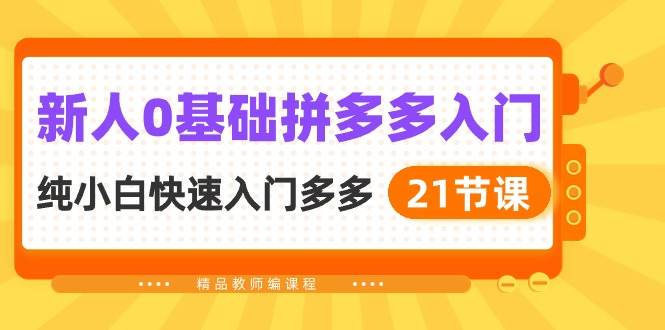 新人0基础拼多多入门，纯小白快速入门多多（21节课） - 维兴科技-维兴科技