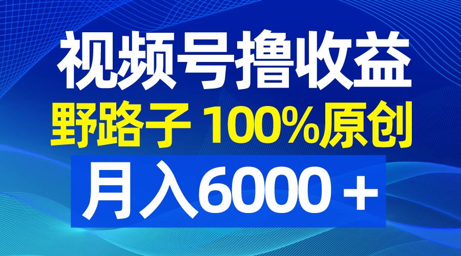 视频号野路子撸收益，100%原创，条条爆款，月入6000＋ - 维兴科技-维兴科技