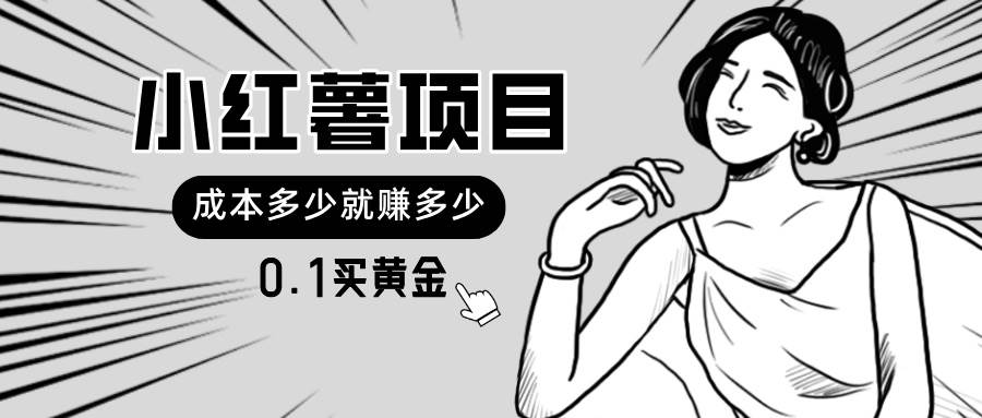 小红薯暴力项目，0.1买黄金。操作简单，日入无上限，可无限扩大。 - 维兴科技-维兴科技