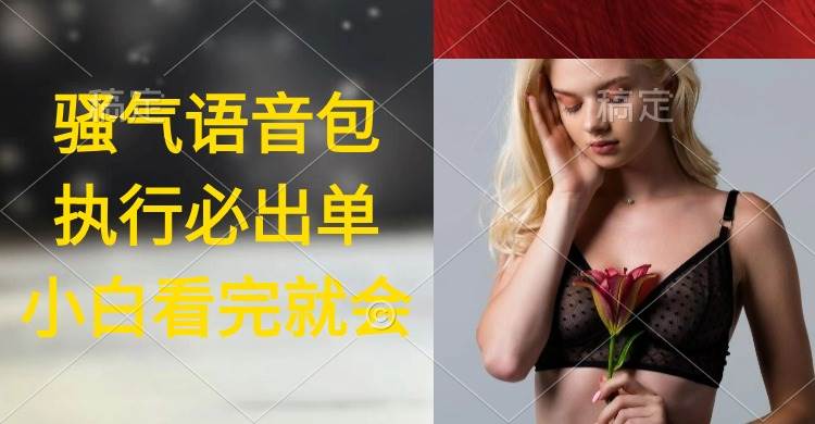 执行就出单，日入2000+，超火骚气语音包，小白看完课程就能马上实操 - 维兴科技-维兴科技