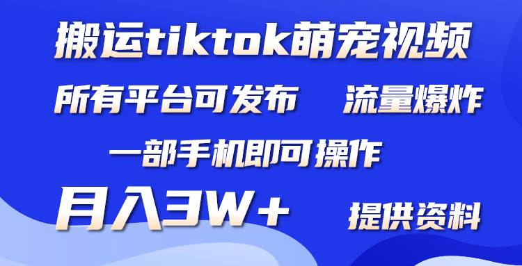 搬运Tiktok萌宠类视频，一部手机即可。所有短视频平台均可操作，月入3W+ - 维兴科技-维兴科技