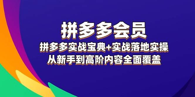 拼多多 会员，拼多多实战宝典+实战落地实操，从新手到高阶内容全面覆盖 - 维兴科技-维兴科技