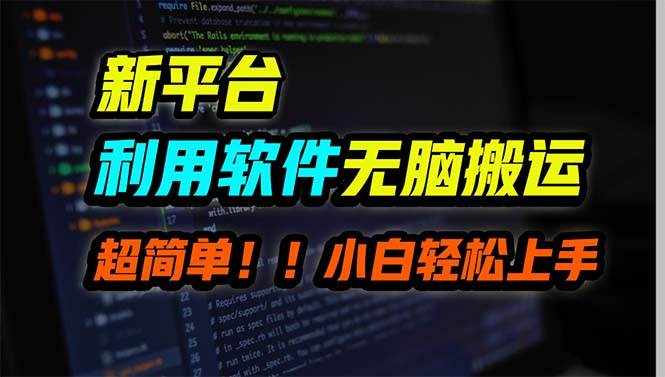 新平台用软件无脑搬运，月赚10000+，小白也能轻松上手 - 维兴科技-维兴科技