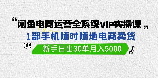 闲鱼电商运营全系统VIP实战课，1部手机随时随地卖货，新手日出30单月入5000 - 维兴科技-维兴科技