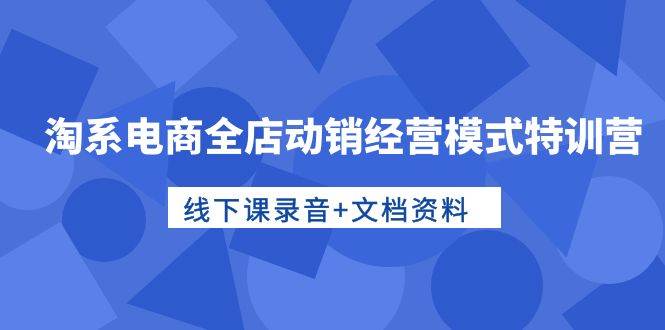 淘系电商全店动销经营模式特训营，线下课录音+文档资料 - 维兴科技-维兴科技