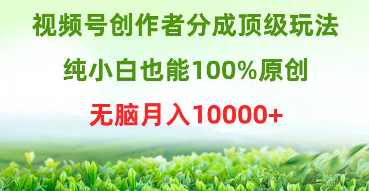 视频号创作者分成顶级玩法，纯小白也能100%原创，无脑月入10000+ - 维兴科技-维兴科技