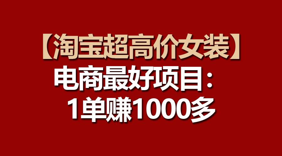 【淘宝超高价女装】电商最好项目：一单赚1000多 - 维兴科技-维兴科技