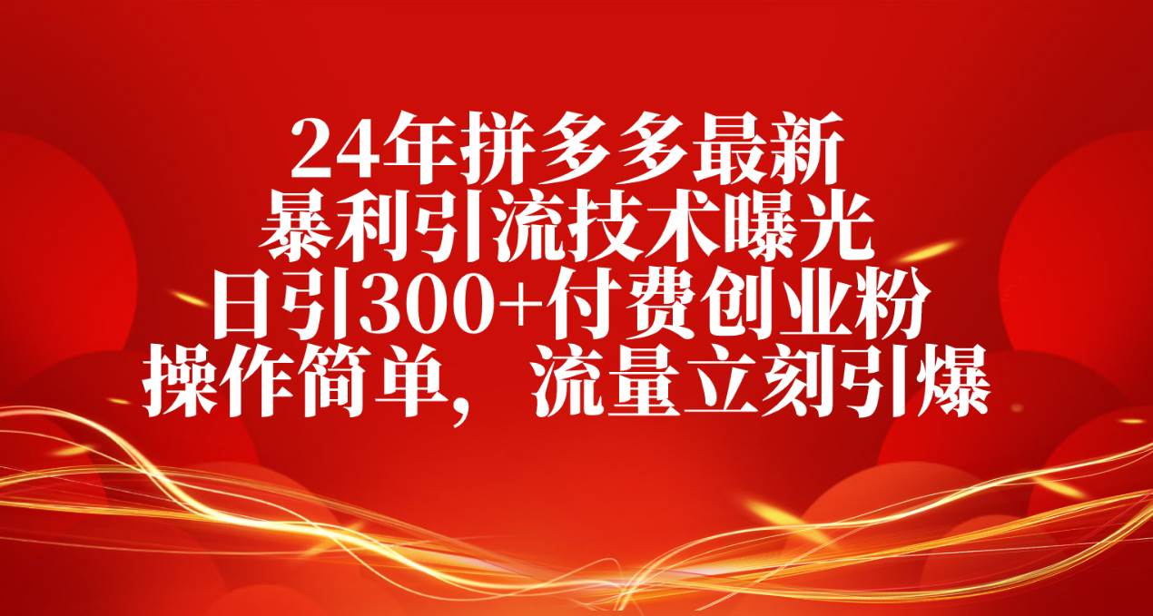 24年拼多多最新暴利引流技术曝光，日引300+付费创业粉，操作简单，流量… - 维兴科技-维兴科技