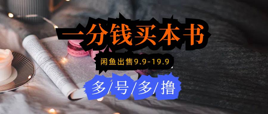 每天花1分钱买一本书，闲鱼出售9.9-19.9不等，多账号多撸 新手小白均可操作 - 维兴科技-维兴科技