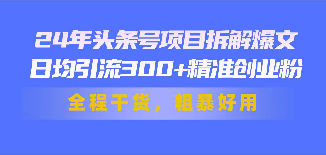 24年头条号项目拆解爆文，日均引流300+精准创业粉，全程干货，粗暴好用 - 维兴科技-维兴科技