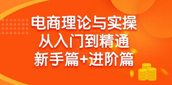 电商理论与实操从入门到精通 新手篇+进阶篇 - 维兴科技-维兴科技