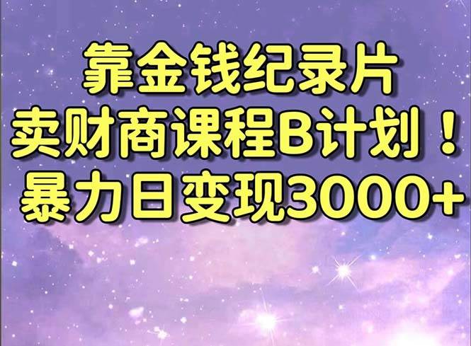 靠金钱纪录片卖财商课程B计划！暴力日变现3000+，喂饭式干货教程！ - 维兴科技-维兴科技
