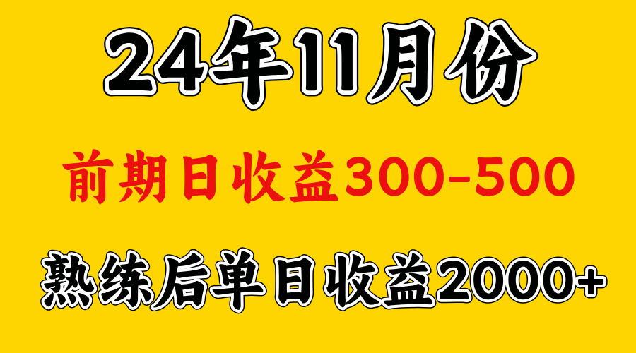 轻资产项目，前期日收益500左右，后期日收益1500-2000左右，多劳多得 - 维兴科技-维兴科技