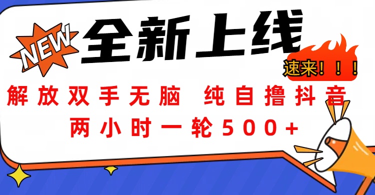 解放双手无脑 纯自撸抖音 两小时一轮500+ - 维兴科技-维兴科技