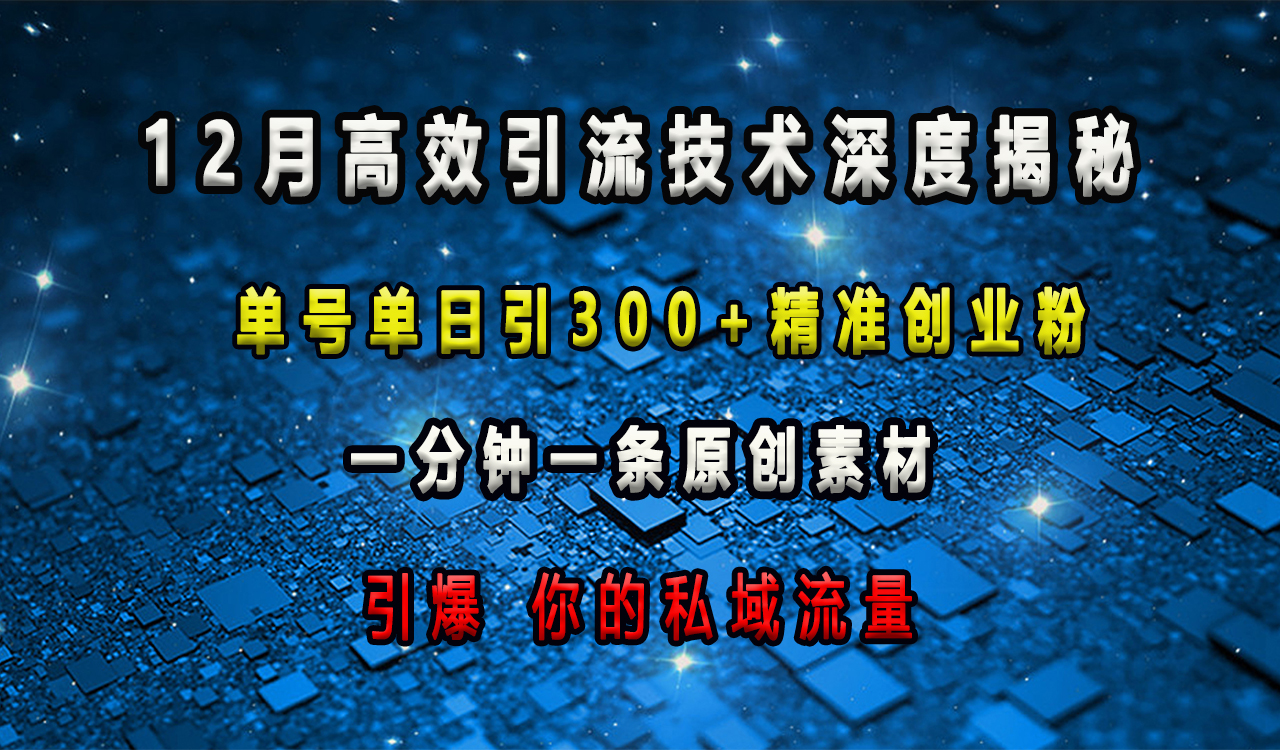 12月高效引流技术深度揭秘 ，单号单日引300+精准创业粉，一分钟一条原创素材，引爆你的私域流量 - 维兴科技-维兴科技