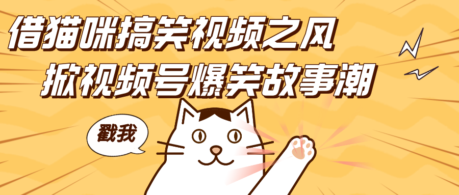 借猫咪搞笑视频之风，掀视频号爆笑故事潮，轻松日赚四位数，开启无门槛赚钱新体验！ - 维兴科技-维兴科技