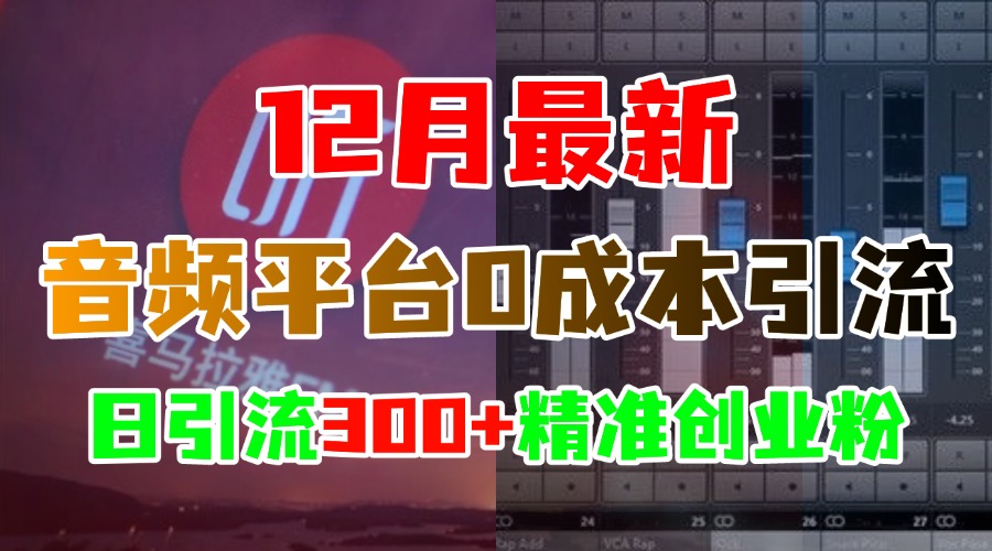 12月最新：音频平台0成本引流，日引300+精准创业粉 - 维兴科技-维兴科技