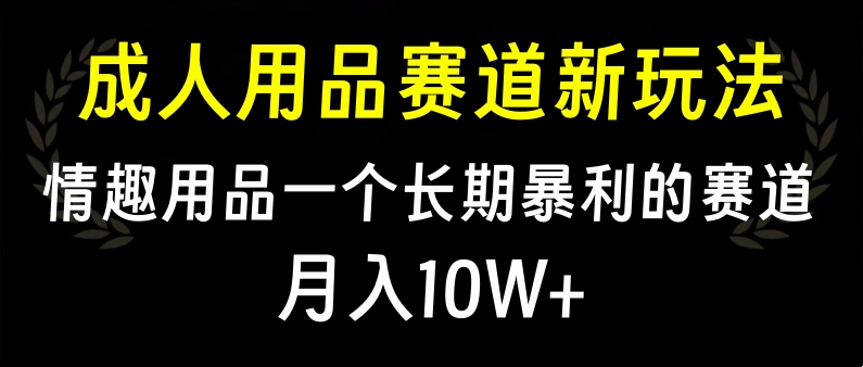 大人用品赛道新玩法，情趣用品一个长期暴利的赛道，月入10W+ - 维兴科技-维兴科技