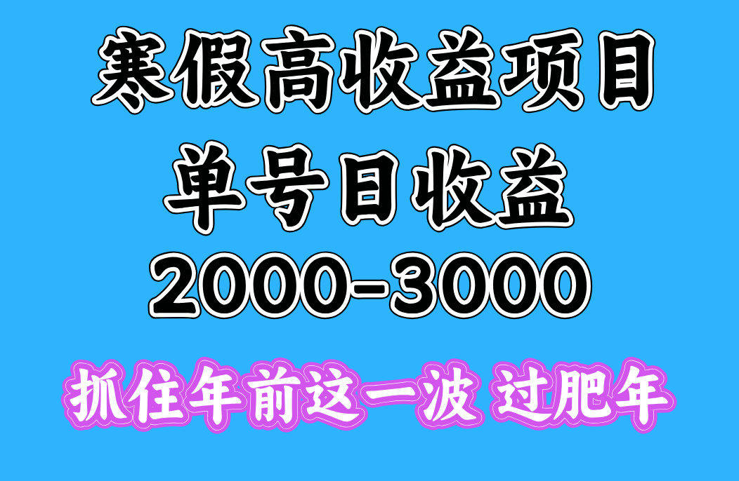 寒假期间一天收益2000-3000+，抓住年前这一波 - 维兴科技-维兴科技