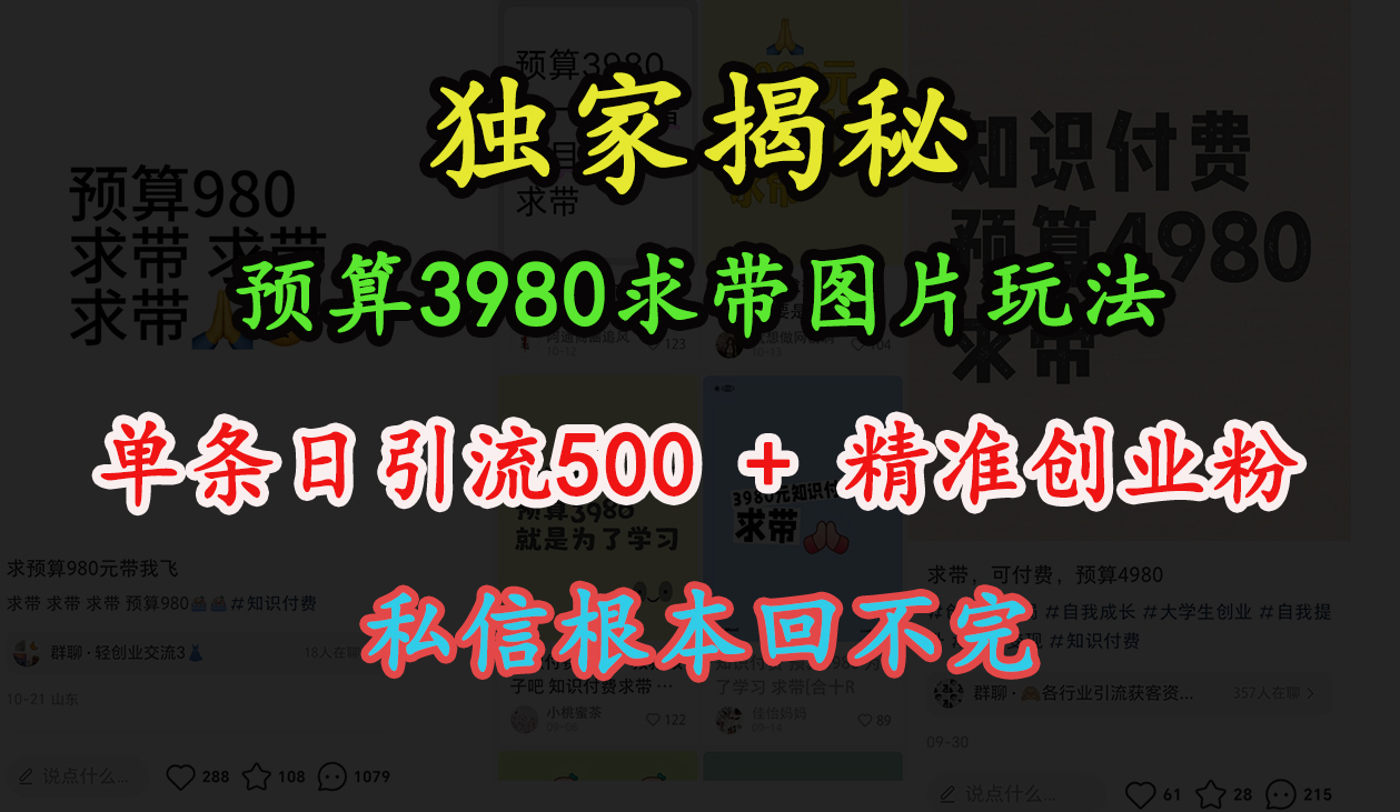 “小红书”预算3980求带 图片玩法，单条日引流500+精准创业粉，私信根本回不完 - 维兴科技-维兴科技