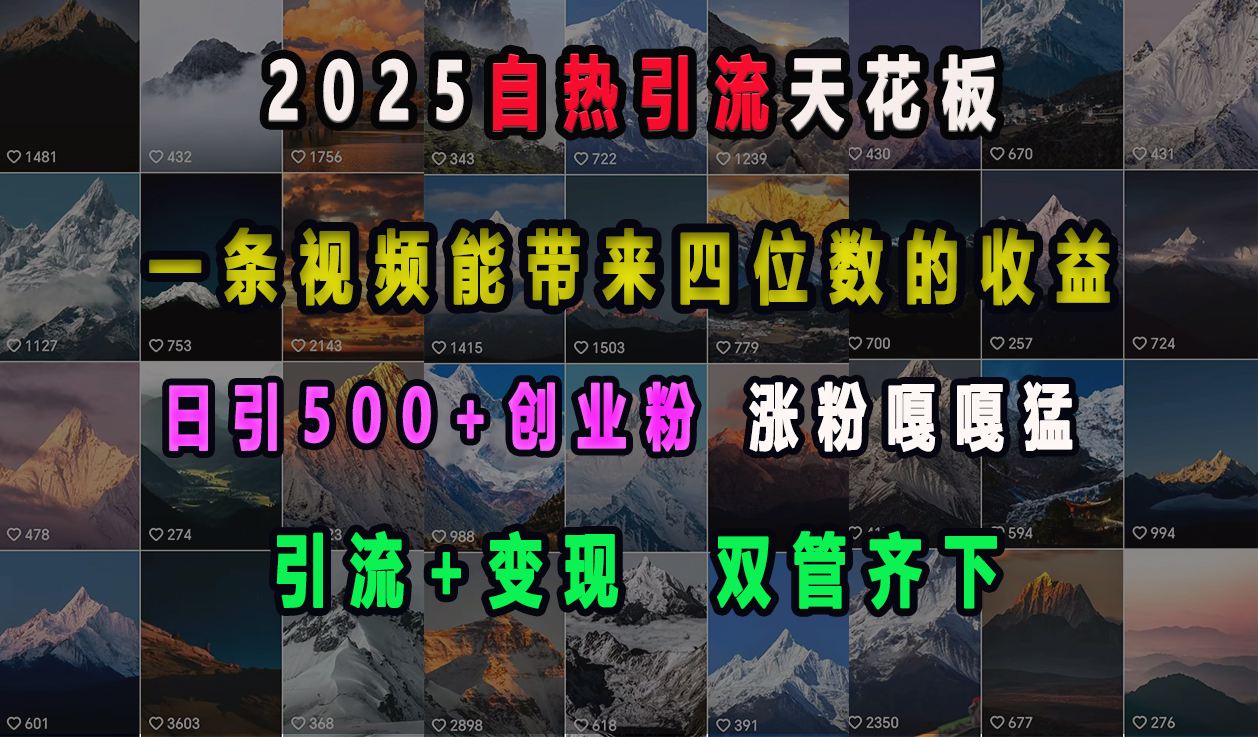 2025自热引流天花板，一条视频能带来四位数的收益，引流+变现双管齐下，日引500+创业粉，涨粉嘎嘎猛 - 维兴科技-维兴科技