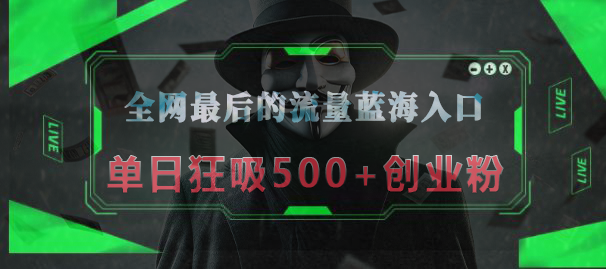 全网最后的流量蓝海入口，半小时引流50+创业粉，单日狂吸500+创业粉 - 维兴科技-维兴科技