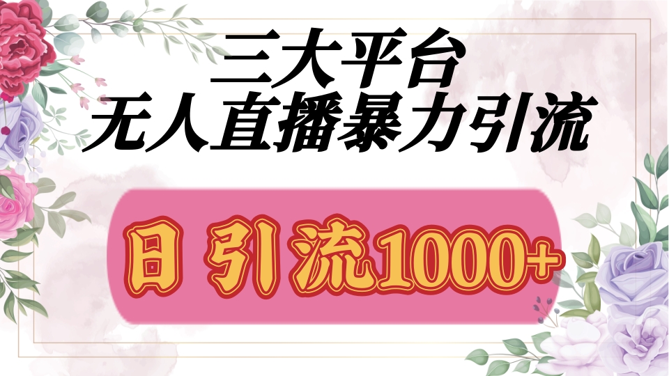 抖音，快手，视频号全平台通用，无人直播引流法，利用图片,模板,整套话术挂机全天支持矩阵操作，无限设备多开，超暴力引流，1000+高质量精准创业粉 - 维兴科技-维兴科技
