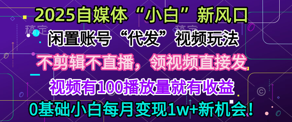 2025每月躺赚5w+新机会，闲置视频账号一键代发玩法，0粉不实名不剪辑，领了视频直接发，0基础小白也能日入300+ - 维兴科技-维兴科技