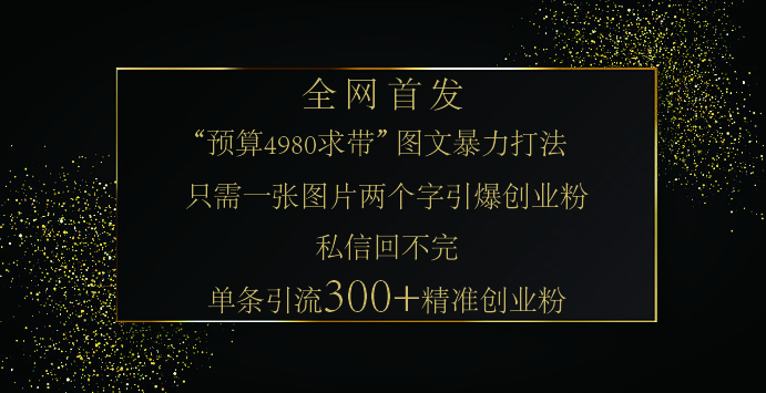 小红书，“预算 4980 带我飞” 的神奇图片引流法，堪称涨粉核武器！只需一张图，就能单条笔记凭借此方法，轻松引流 300 + 精准创业粉！ - 维兴科技-维兴科技