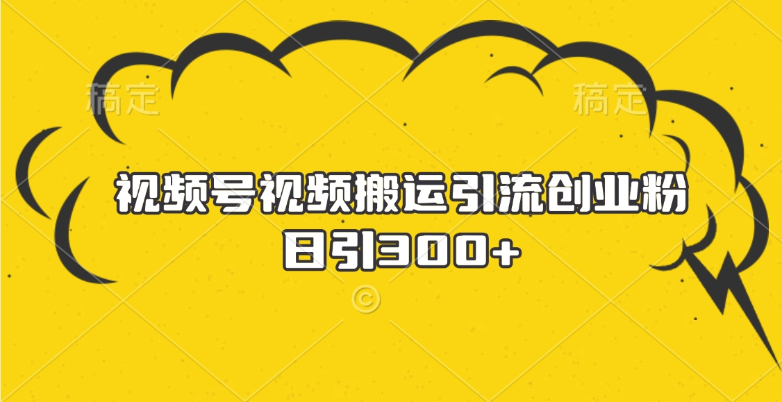视频号视频搬运引流创业粉，日引300+ - 维兴科技-维兴科技