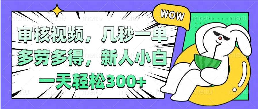视频审核项目，几秒一单，多劳多得，新人小白一天轻松300+ - 维兴科技-维兴科技