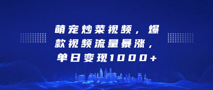 萌宠炒菜视频，爆款视频流量暴涨，单日变现1000+ - 维兴科技-维兴科技