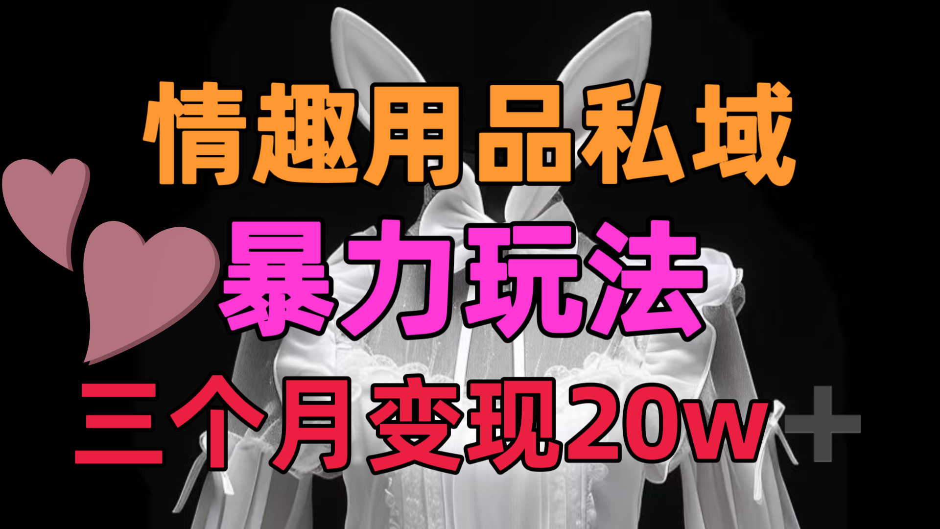 情趣用品私域，25年最新暴力玩法，三个月变现20w➕ - 维兴科技-维兴科技