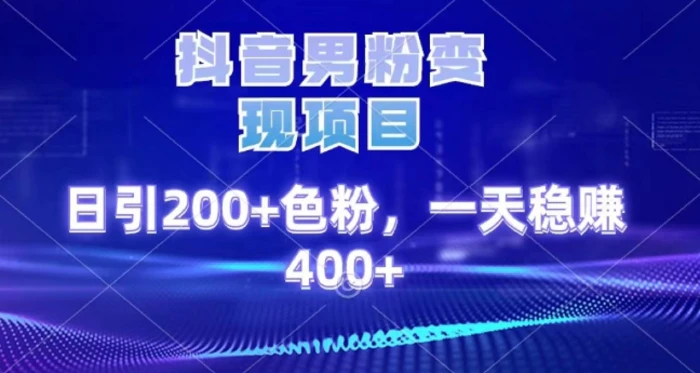 2025最新男粉项目 日引200 轻松月入2w+ - 维兴科技-维兴科技