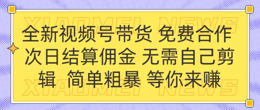 全新视频号 免费合作 佣金次日结算 无需自己剪辑 - 维兴科技-维兴科技