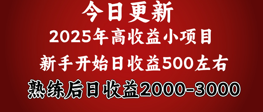 2025开年好项目，新手日收益500+ 熟练掌握后，日收益平均2000多 - 维兴科技-维兴科技