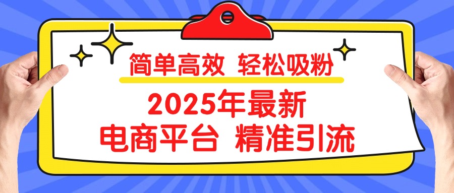 2025年最新电商平台精准引流 简单高效 轻松吸粉 - 维兴科技-维兴科技