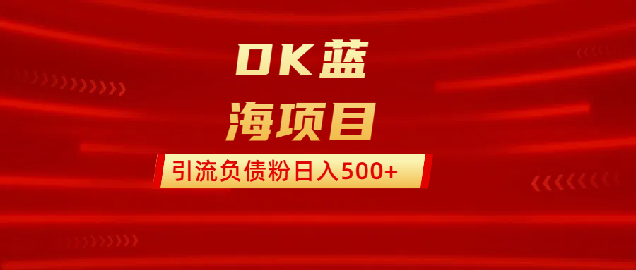 DK蓝海项目 通过，抖音，快手，小红书，引流负债粉日入500+ - 维兴科技-维兴科技