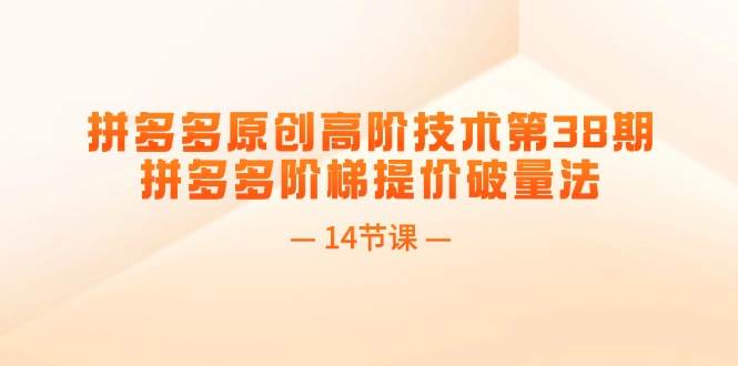 拼多多原创高阶技术第38期，拼多多阶梯提价破量法（14节课） - 维兴科技-维兴科技