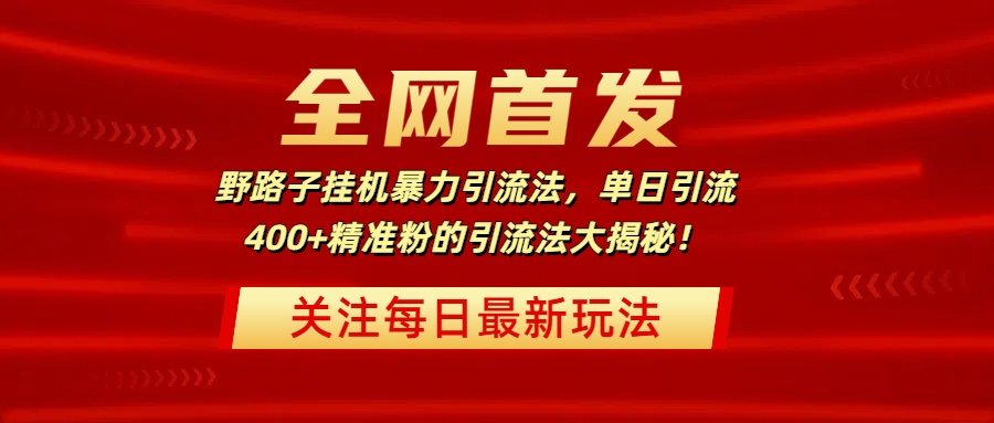 全网首发，野路子挂机暴力引流法，单日引流400+精准粉的引流法大揭秘！ - 维兴科技-维兴科技