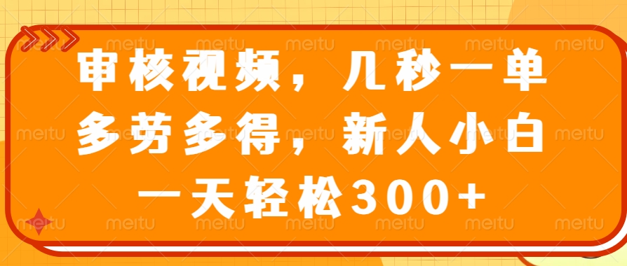 审核视频项目，几秒一单，多劳多得，新人小白一天轻松300+ - 维兴科技-维兴科技