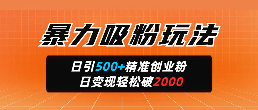 暴力吸粉玩法，日引500+精准创业粉，日变现轻松破2000 - 维兴科技-维兴科技