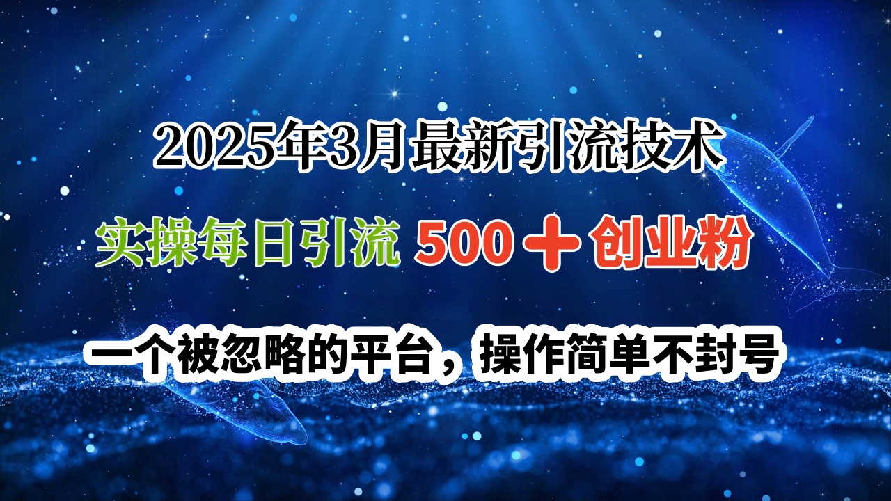 2025年3月最新引流技术，实操每日引流500➕创业粉，一个被忽略的平台，操作简单不封号 - 维兴科技-维兴科技