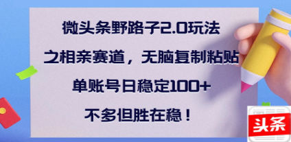 全网首发微头条野路子2.0玩法之相亲赛道，无脑搬砖复制粘贴，单账号日稳定300+保姆级教程 - 维兴科技-维兴科技